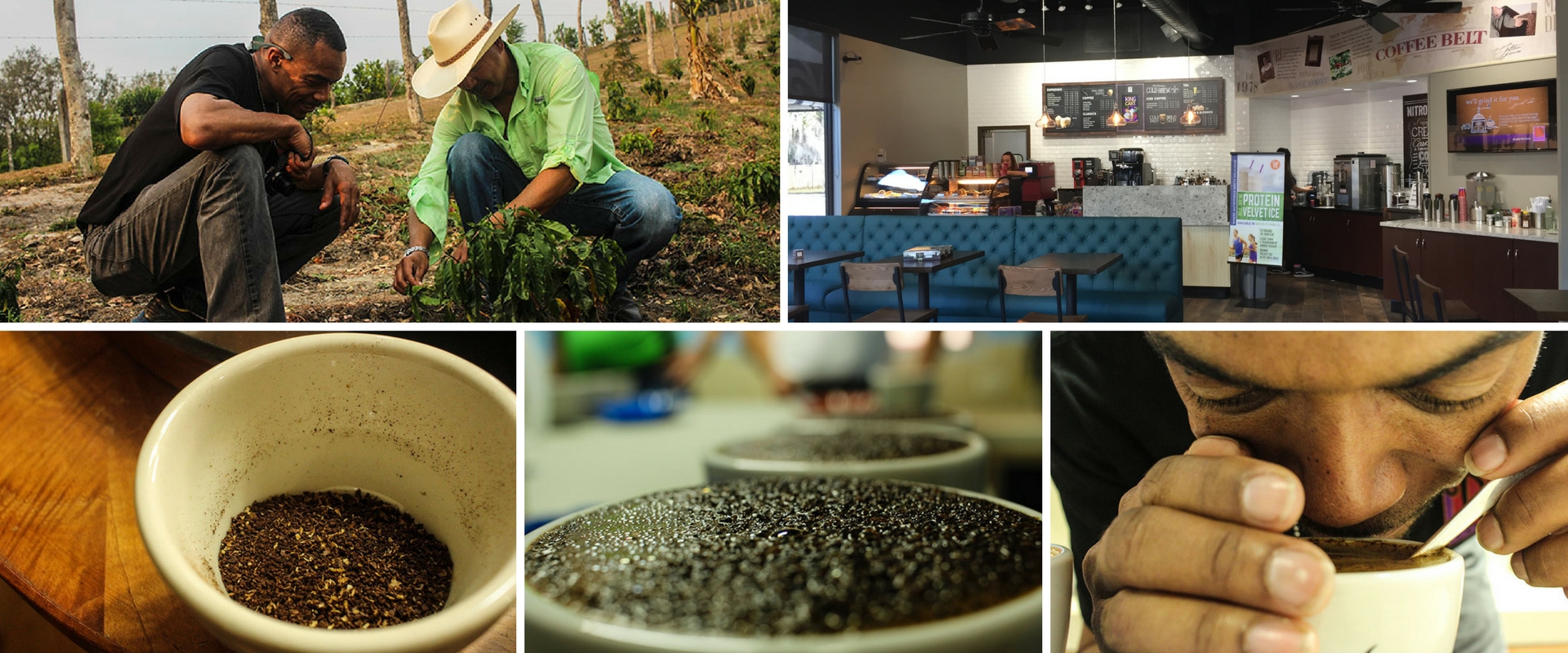 How PJ's Coffee Franchise Delivers a True FarmtoCup Experience PJ's